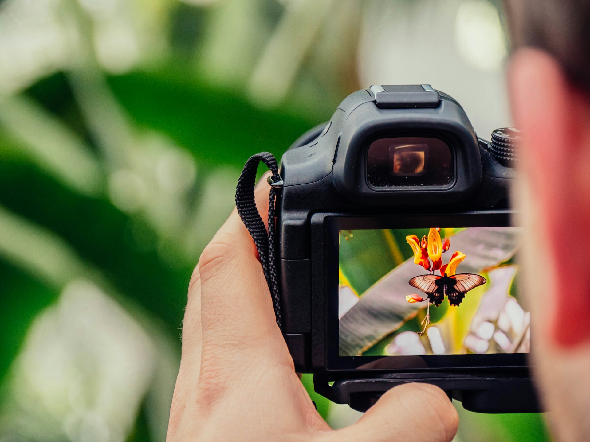 Close-up of camera capturing flower image.